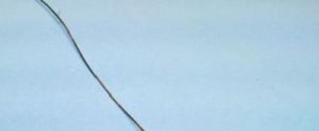 Глициния из бисера потрясающее дерево своими руками (фото). Глициния из бисера: мастер-класс с фото и схема плетения