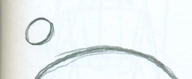 Как нарисовать лебедя поэтапно карандашом для начинающих и детей? Как нарисовать лебедя на озере? Как нарисовать двух влюбленных лебедей Красивые птицы лебеди. 