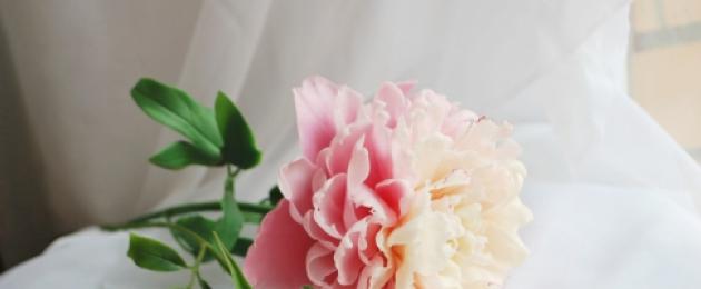 Керамическая флористика — цветы из холодного фарфора своими руками. Цветок из холодного фарфора