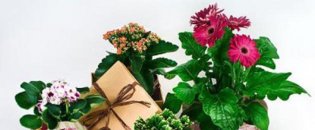 Во что упаковать букет цветов. Как упаковать цветы в крафт-бумагу: подробные инструкции и лучшие идеи